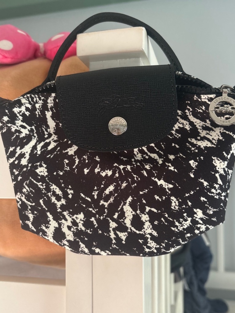 Mini Leather Longchamp bag